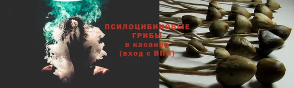 COCAINE Корсаков