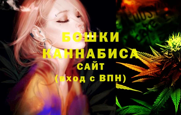 метадон Коряжма